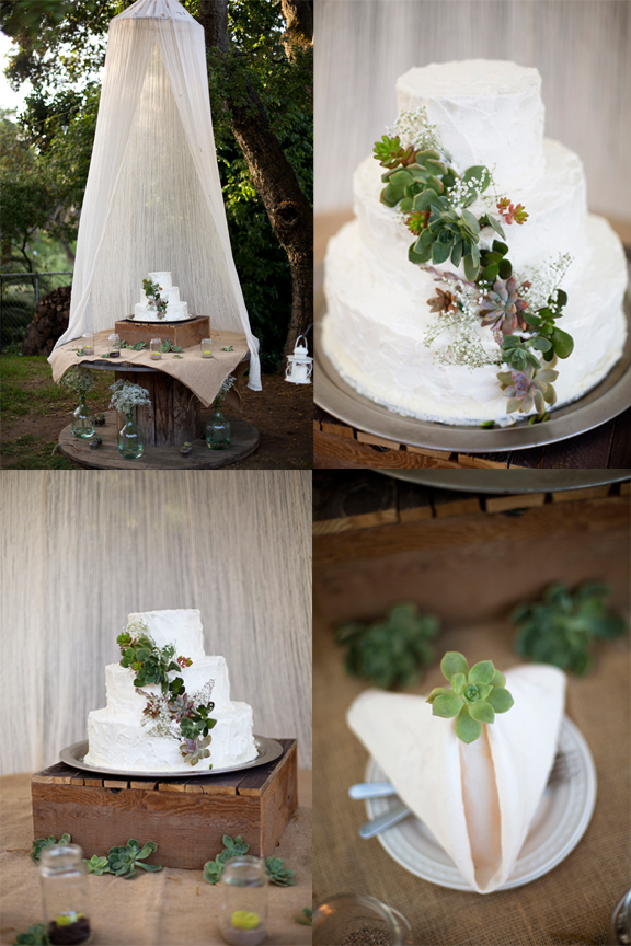 succulents on a wedding cake. vintage rustic wedding decor flowers succulent wedding photography&nbsp;